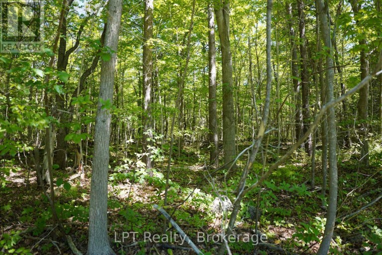 LOT 16 GREY ROAD 17, Georgian Bluffs, Ontario, N0H2T0