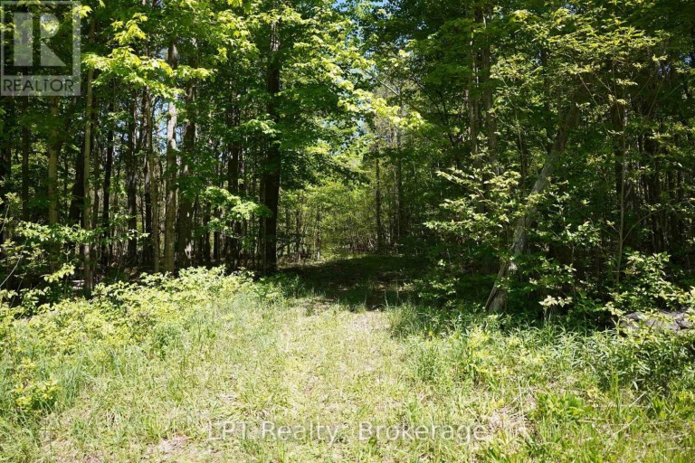 LOT 16 GREY ROAD 17, Georgian Bluffs, Ontario, N0H2T0