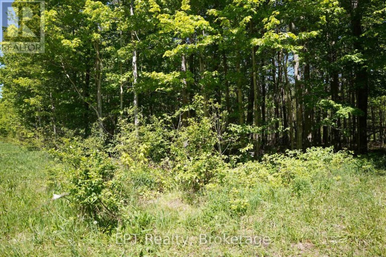 LOT 16 GREY ROAD 17, Georgian Bluffs, Ontario, N0H2T0