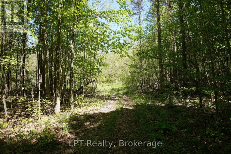 LOT 16 GREY ROAD 17, Georgian Bluffs, Ontario, N0H2T0