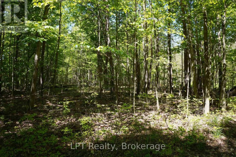 LOT 16 GREY ROAD 17, Georgian Bluffs, Ontario, N0H2T0