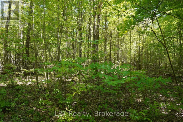 LOT 16 GREY ROAD 17, Georgian Bluffs, Ontario, N0H2T0
