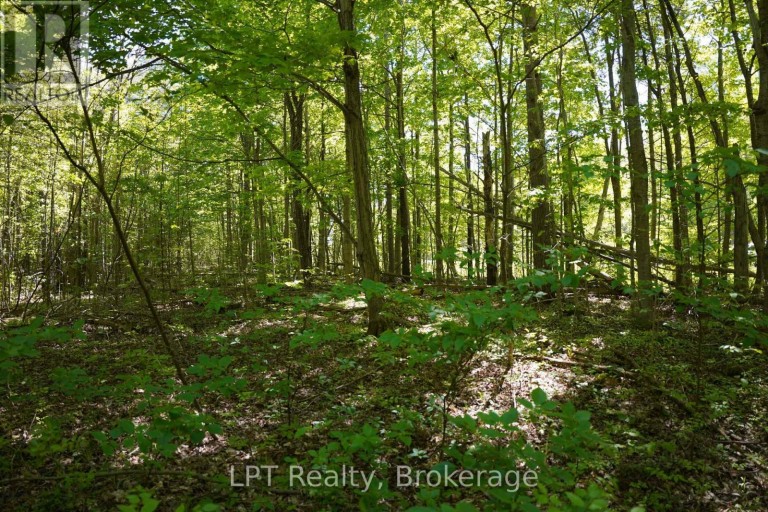 LOT 16 GREY ROAD 17, Georgian Bluffs, Ontario, N0H2T0