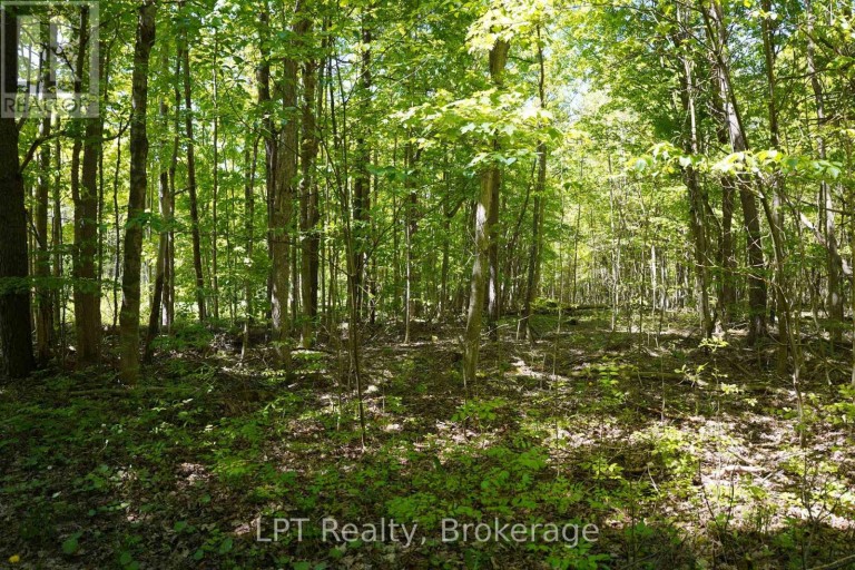 LOT 16 GREY ROAD 17, Georgian Bluffs, Ontario, N0H2T0