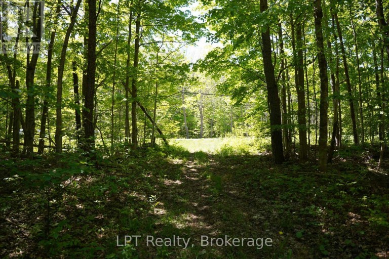 LOT 16 GREY ROAD 17, Georgian Bluffs, Ontario, N0H2T0