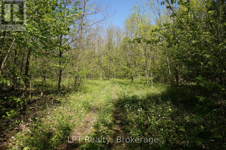 LOT 16 GREY ROAD 17, Georgian Bluffs, Ontario, N0H2T0
