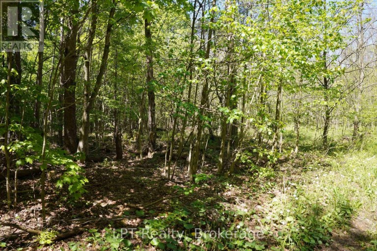 LOT 16 GREY ROAD 17, Georgian Bluffs, Ontario, N0H2T0