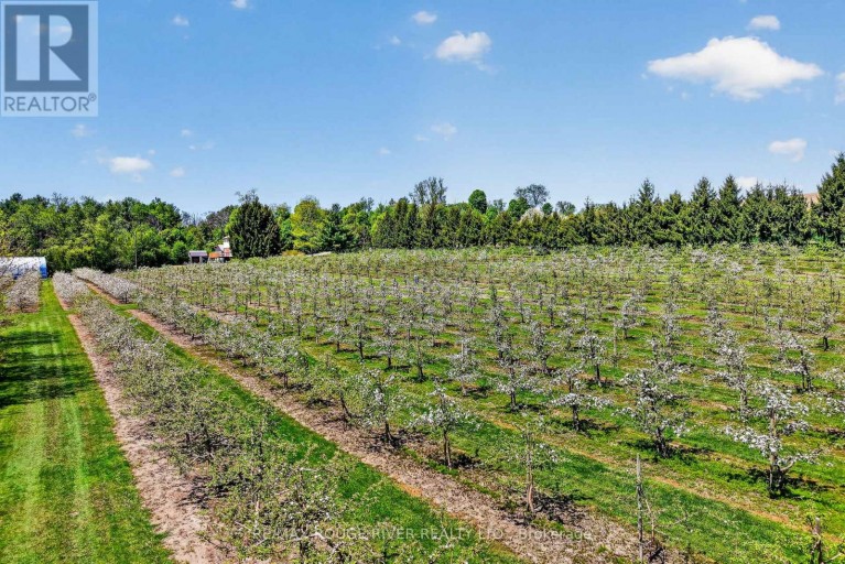 223 TURK ROAD, Alnwick/Haldimand, Ontario, K0K2G0