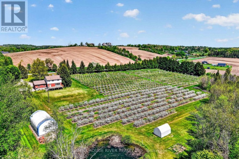 223 TURK ROAD, Alnwick/Haldimand, Ontario, K0K2G0