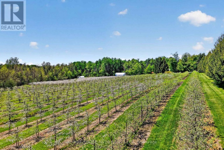 223 TURK ROAD, Alnwick/Haldimand, Ontario, K0K2G0