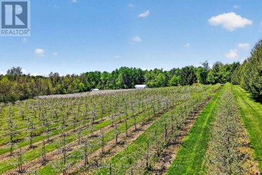 223 TURK ROAD Alnwick/Haldimand Ontario photo 36