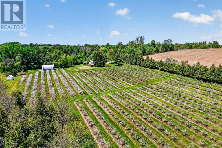 223 TURK ROAD, Alnwick/Haldimand, Ontario, K0K2G0