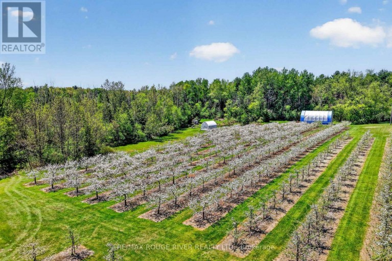 223 TURK ROAD, Alnwick/Haldimand, Ontario, K0K2G0