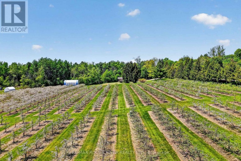 223 TURK ROAD, Alnwick/Haldimand, Ontario, K0K2G0