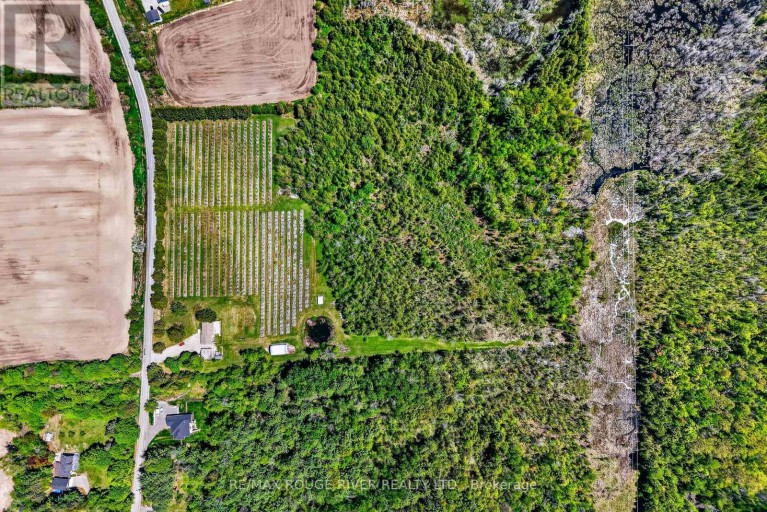 223 TURK ROAD, Alnwick/Haldimand, Ontario, K0K2G0