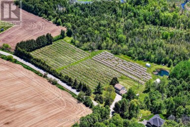 223 TURK ROAD Alnwick/Haldimand Ontario photo 42