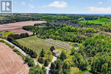 223 TURK ROAD Alnwick/Haldimand Ontario photo 43
