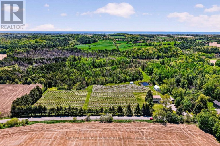 223 TURK ROAD, Alnwick/Haldimand, Ontario, K0K2G0