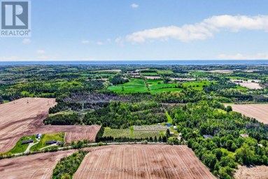 223 TURK ROAD Alnwick/Haldimand Ontario photo 45