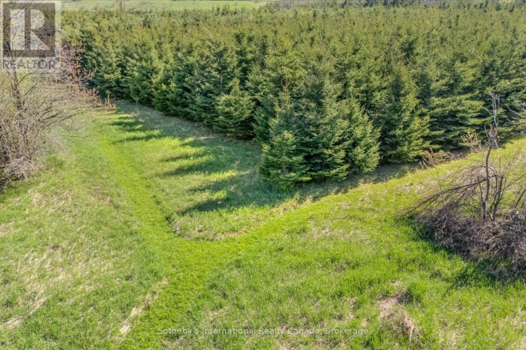 717218 1ST LINE E EHS, Mulmur, Ontario, L9V0G2