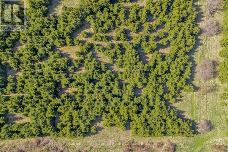 717218 1ST LINE E EHS, Mulmur, Ontario, L9V0G2