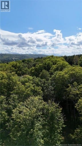 Sugar Camp Hillside, Elgin, New Brunswick, E4Z2L3