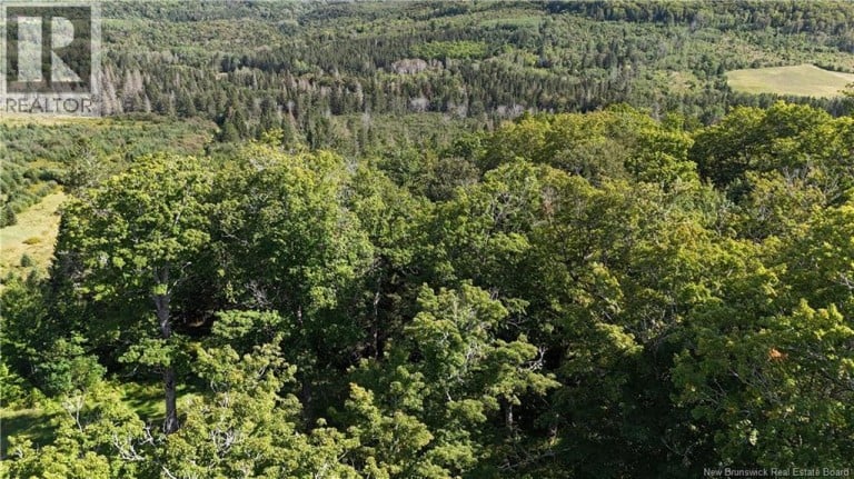 Sugar Camp Hillside, Elgin, New Brunswick, E4Z2L3