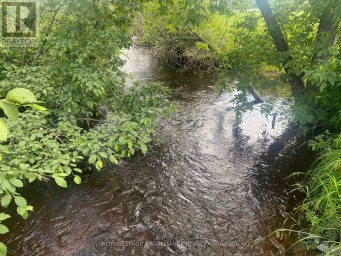 107A LAKESHORE DRIVE Madawaska Valley Ontario photo 10