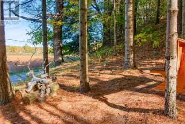 10874 CANOE LAKE ROAD Frontenac (Frontenac South) Ontario photo 13