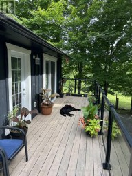 10874 CANOE LAKE ROAD Frontenac (Frontenac South) Ontario photo 42