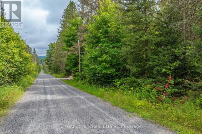 00 GIBBONS ROAD, Strong, Ontario, P0A1Z0