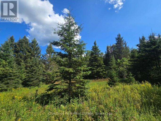 00 GIBBONS ROAD, Strong, Ontario, P0A1Z0