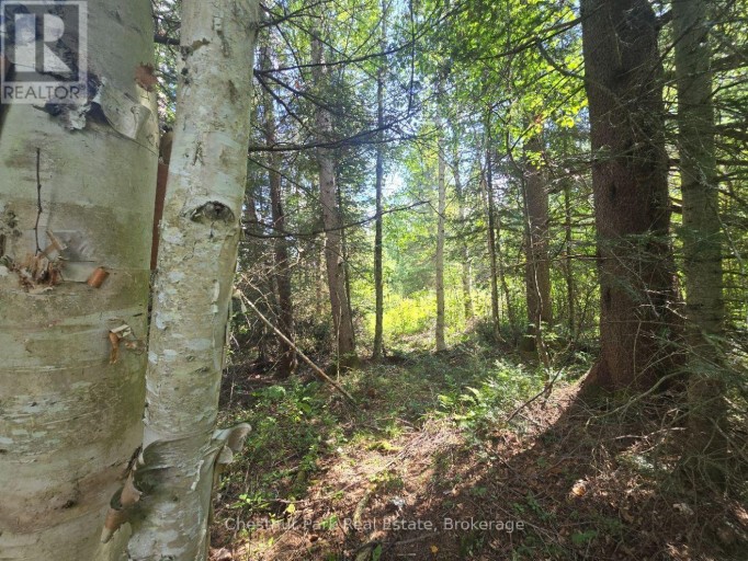 00 GIBBONS ROAD, Strong, Ontario, P0A1Z0