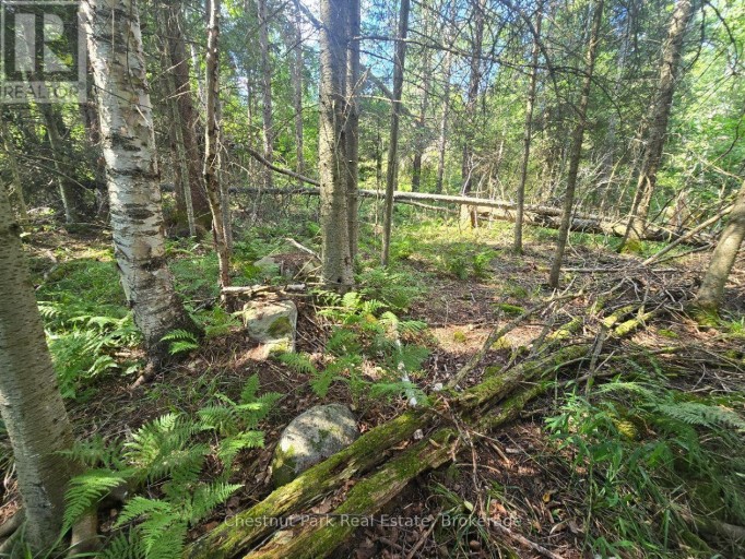 00 GIBBONS ROAD, Strong, Ontario, P0A1Z0