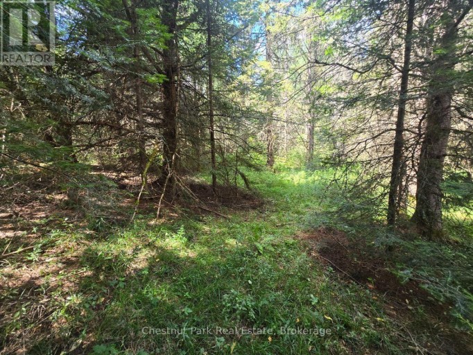 00 GIBBONS ROAD, Strong, Ontario, P0A1Z0