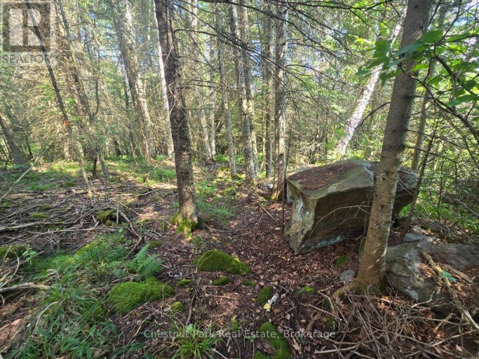 00 GIBBONS ROAD, Strong, Ontario, P0A1Z0