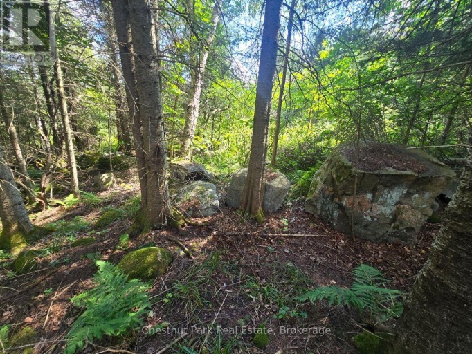 00 GIBBONS ROAD, Strong, Ontario, P0A1Z0