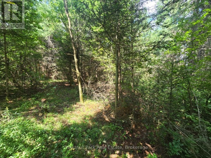 00 GIBBONS ROAD, Strong, Ontario, P0A1Z0