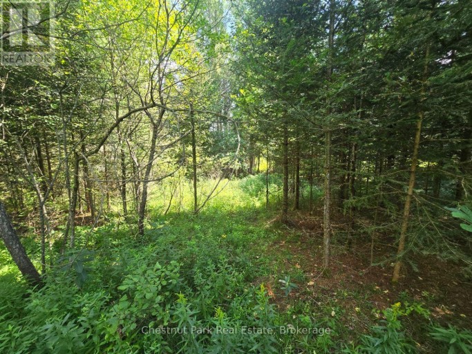 00 GIBBONS ROAD, Strong, Ontario, P0A1Z0