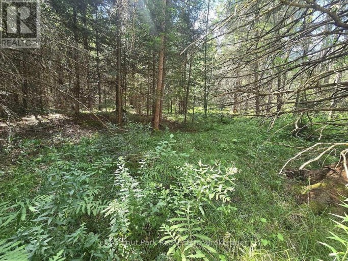 00 GIBBONS ROAD, Strong, Ontario, P0A1Z0