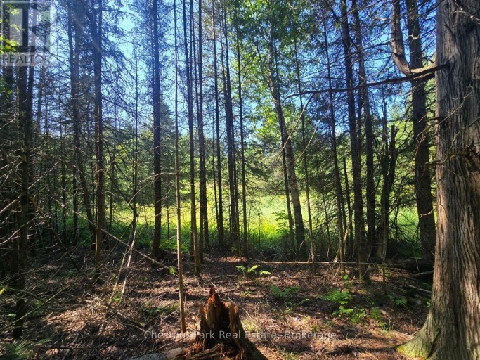 00 GIBBONS ROAD, Strong, Ontario, P0A1Z0