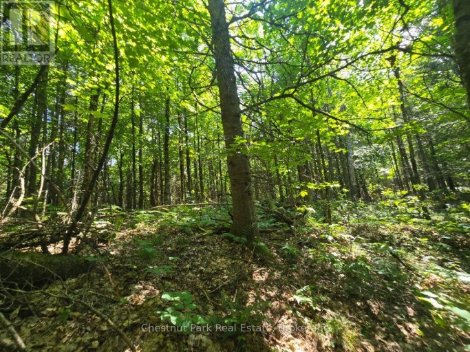 00 GIBBONS ROAD, Strong, Ontario, P0A1Z0
