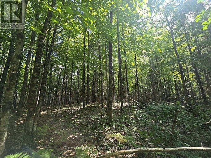 00 GIBBONS ROAD, Strong, Ontario, P0A1Z0