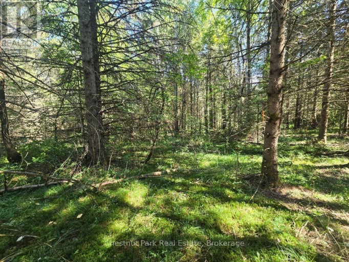 00 GIBBONS ROAD, Strong, Ontario, P0A1Z0