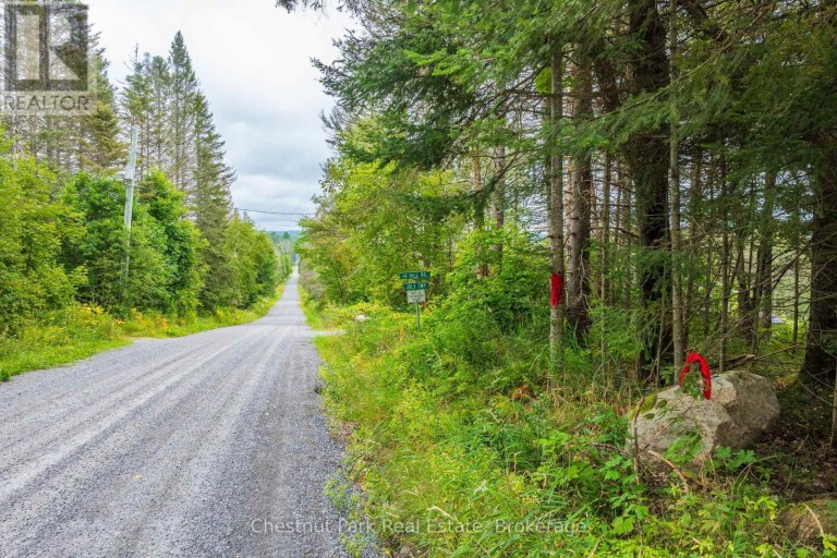 00 GIBBONS ROAD, Strong, Ontario, P0A1Z0
