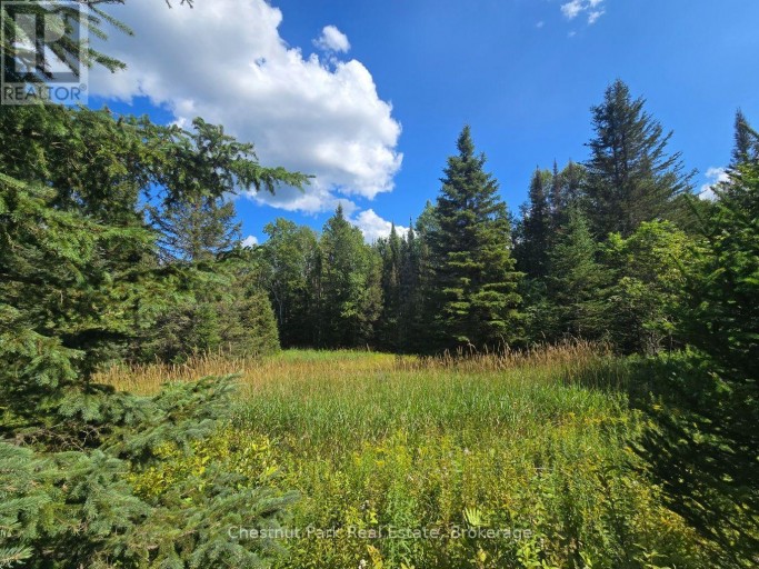 00 GIBBONS ROAD, Strong, Ontario, P0A1Z0