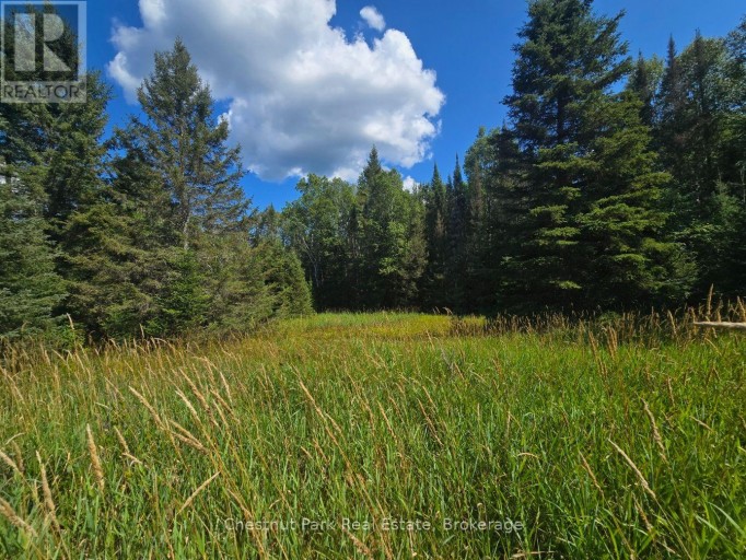 00 GIBBONS ROAD, Strong, Ontario, P0A1Z0