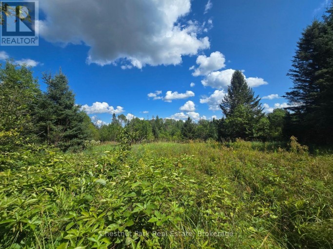 00 GIBBONS ROAD, Strong, Ontario, P0A1Z0