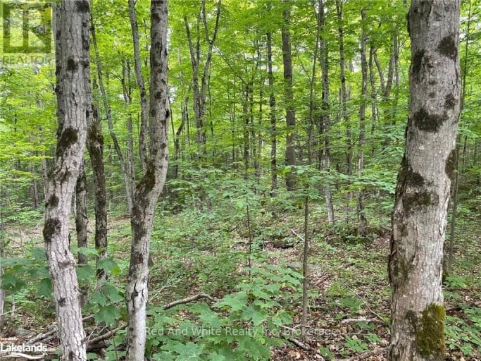 23 AHMIC LAKE ROAD, Magnetawan, Ontario, P0A1A0
