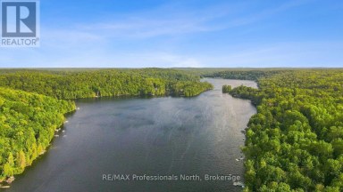 1009 SPENCERS TRAIL Highlands East (Glamorgan) Ontario photo 3